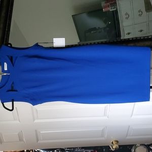 Calvin Klein Blue Dress sz 8